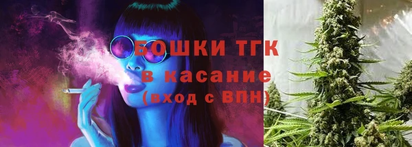 шишки Богородицк